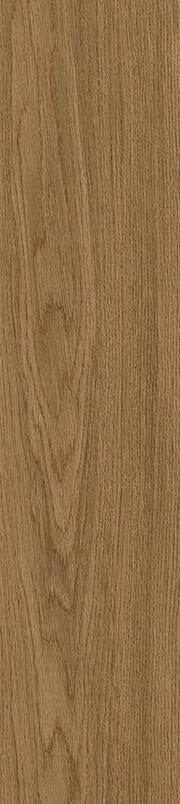 BASICS COLLECTION - Amsterdam