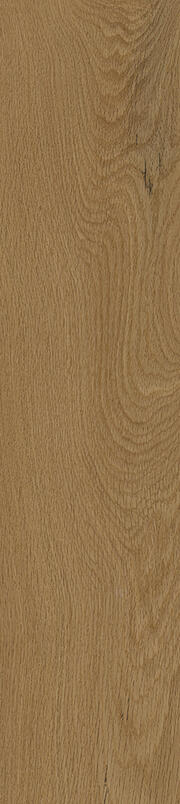 BASICS COLLECTION - Rotterdam