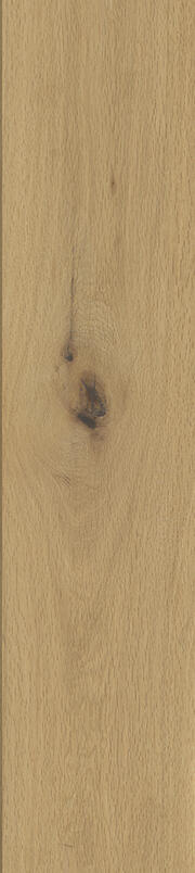 KENTUCKY STANDARD COLLECTION - Dallas